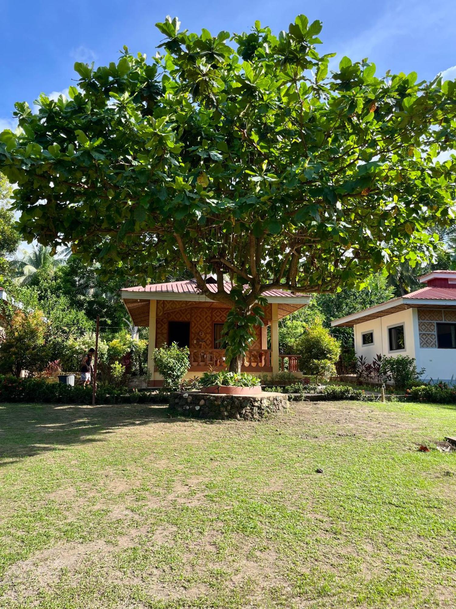 Paco'S Garden Home Stay Mambajao 外观 照片